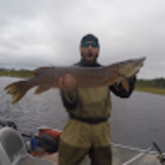 Meet your Posher, Fishback - Picture 1 of 1